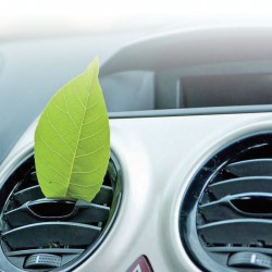 Derfoe AC Cleaner 450 ml Spray Pembersih AC Rumah Mobil Penghilang Bau Bakteri Derfoe AC Cleaner 450 ml Spray Pembersih AC Rumah Mobil Penghilang Bau Bakteri