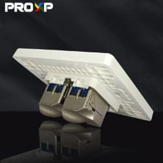 PROXP Face Plate Panel 2 Hole Spin Series PROXP Face Plate Panel 2 Hole Spin Series