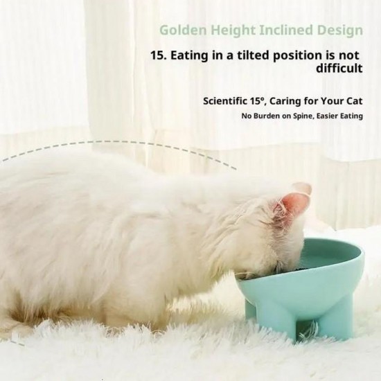 Tempat Makan Hewan Kaki Tinggi Pet Feeder Bowl Plastik