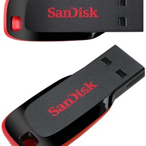 Flash Disk